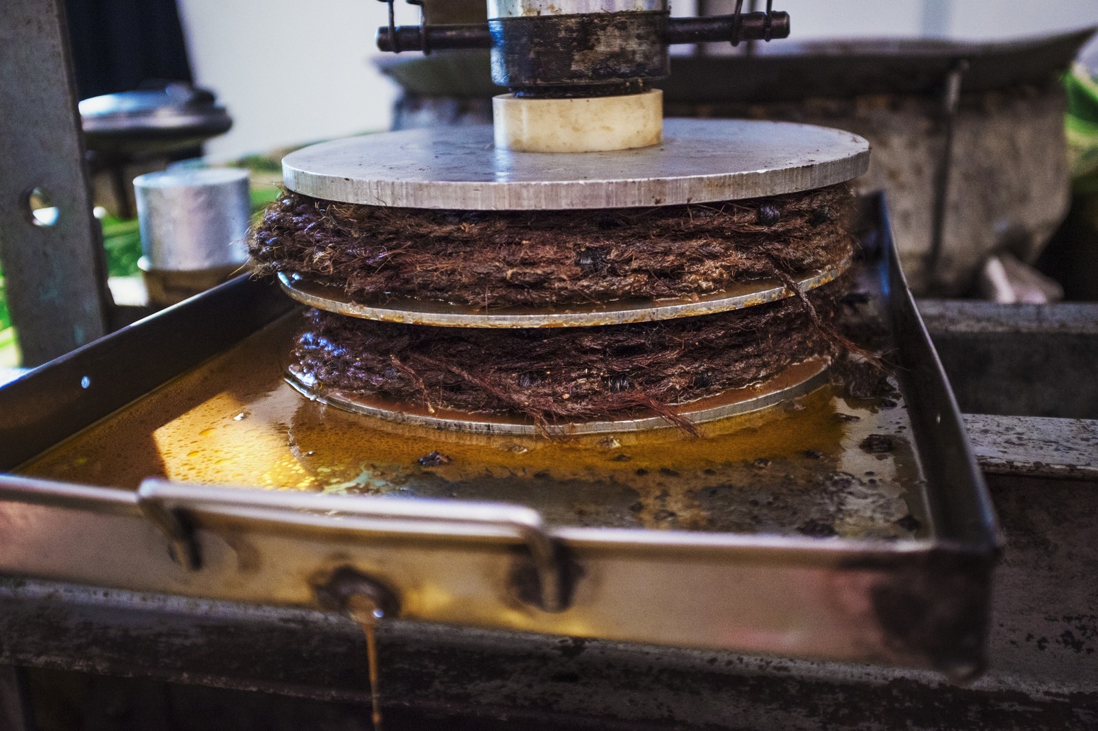 Prensa tradicional de aceitunas para la elaboración de aceite de oliva virgen extra